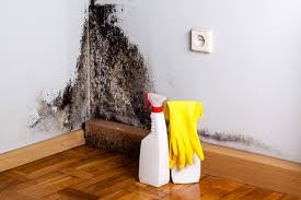 Best Mold Prevention Services  in Bayside, WI